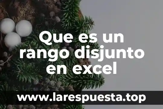 Que es la funcion fechanumero en excel 8 Que es un rango disjunto en excel