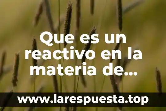 Que es un reactivo en la materia de español