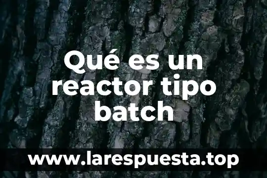 Como se puede proteger una persona que es sanadora y absorbe todo 8 Qué es un reactor tipo batch