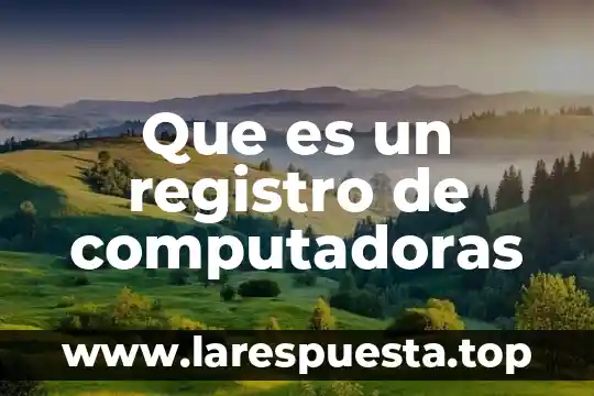 Qué es DDT en arquitectura de computadoras 8 Que es un registro de computadoras