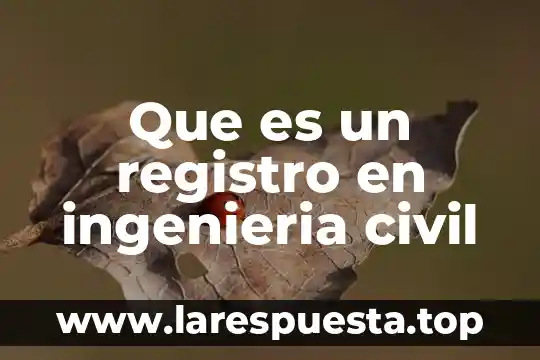 Que es vicio en derecho civil 5 Que es un registro en ingenieria civil