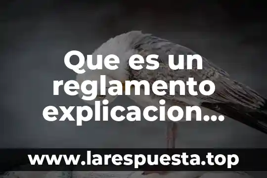 Que es salud explicacion para niños 5 Que es un reglamento explicacion para niños