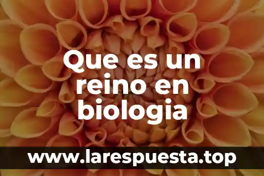 Que es el reino protista ejemplos 4 Que es un reino en biologia