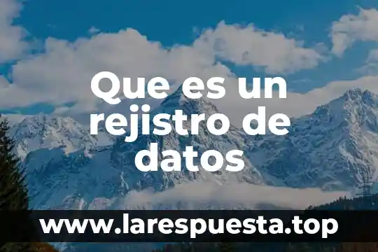 Que es un rejistro de datos