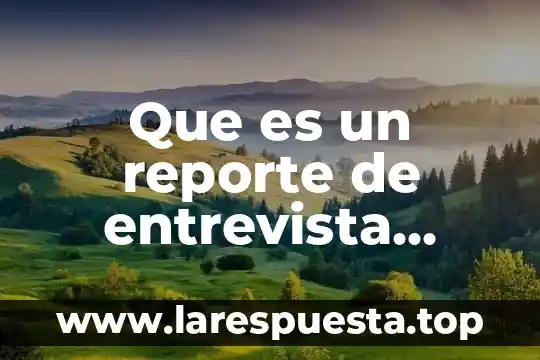 Que es la entrevista a campo 3 Que es un reporte de entrevista caracteristicas y partes