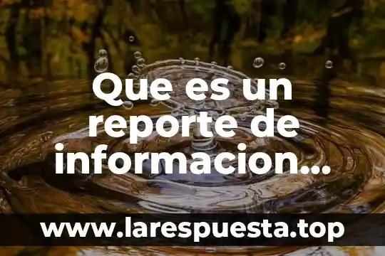 Que es un reporte de informacion tecnica