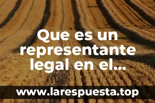 Que es el marco legal de venta 5 Que es un representante legal en el estado de mexico