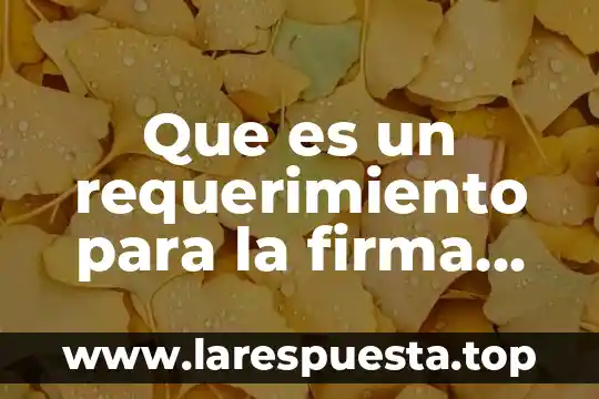 Que es un requerimiento para la firma electronica