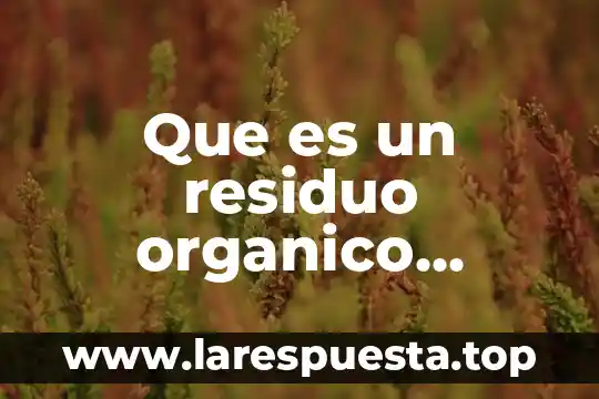 Que es el amcance organico de facebook 6 Que es un residuo organico alternativo