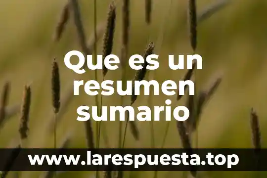 Que es sumario en codigo civil 6 Que es un resumen sumario