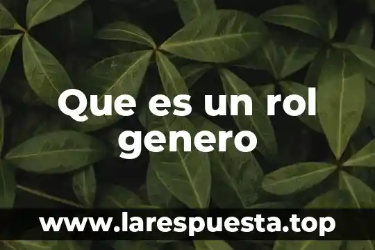 Que es un rol genero