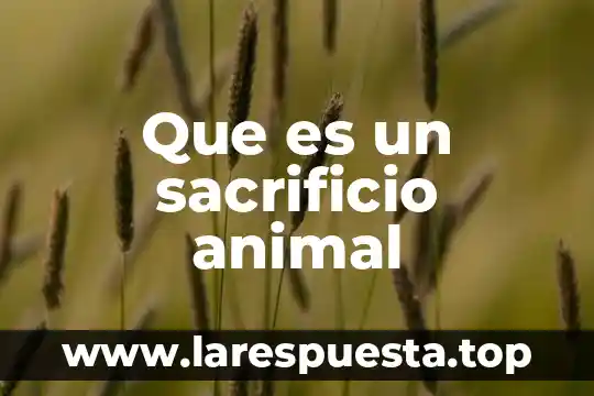 Que es un sacrificio animal