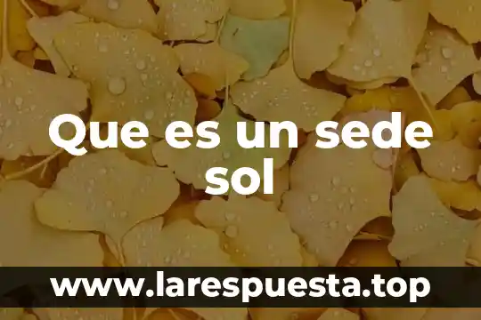 Que es un sede sol