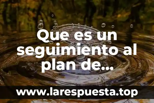 Qué es el modo de producción natural 8 Que es un seguimiento al plan de produccion