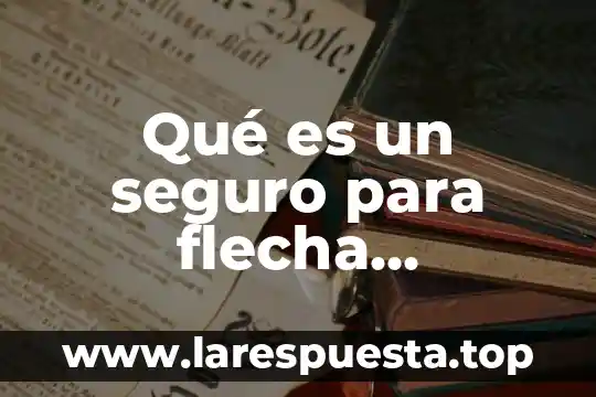 Qué es un seguro para flecha información