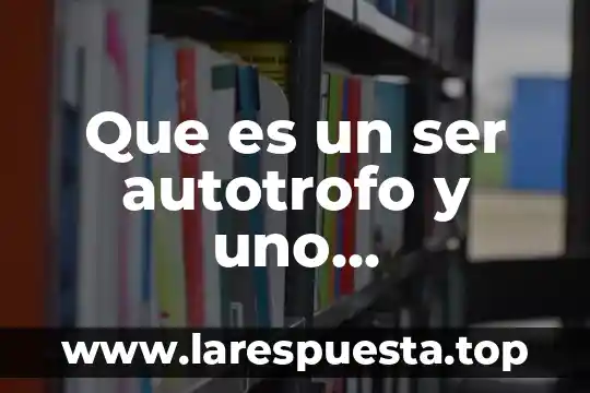 Que es un ser autotrofo y uno heterotrofo