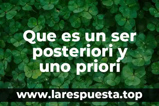 Que es un ser posteriori y uno priori