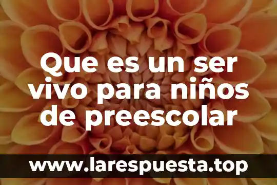 Que es un ser vivo para niños de preescolar