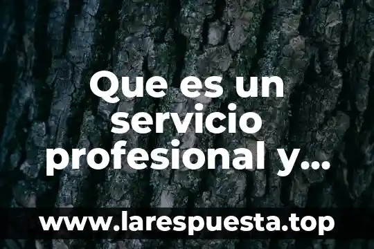 Que es un servicio profesional y que articulo lo regula