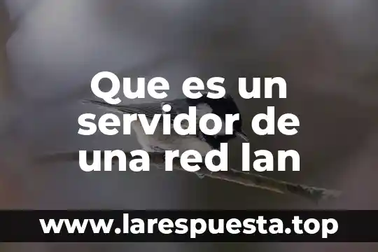 Que es una red empresarial horizontal y vertical 4 Que es un servidor de una red lan