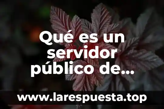 Que es un vendedor publico monopolio 8 Qué es un servidor público de mando