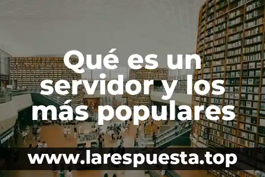 Que es mas largo que un tren 7 Qué es un servidor y los más populares
