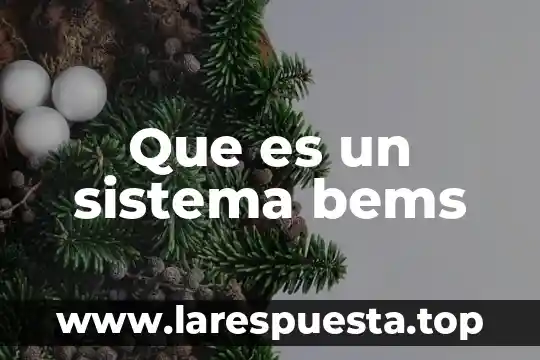 Sistema cirno que es 7 Que es un sistema bems