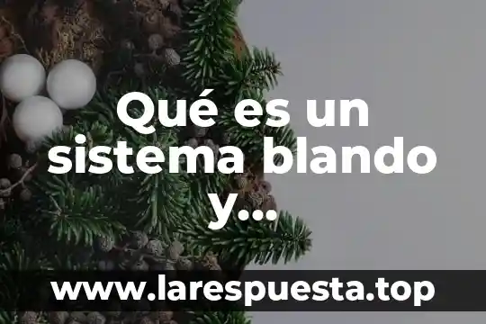 Qué es un sistema blando y características