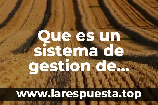 Qué es un instrumento de medición en marketing 6 Que es un sistema de gestion de medicion