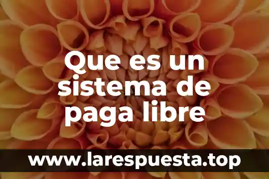 Que es la bacisidd libre 3 Que es un sistema de paga libre
