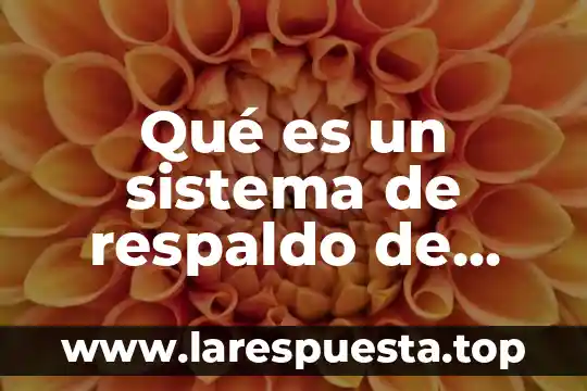 Qué es un sistema de respaldo de información
