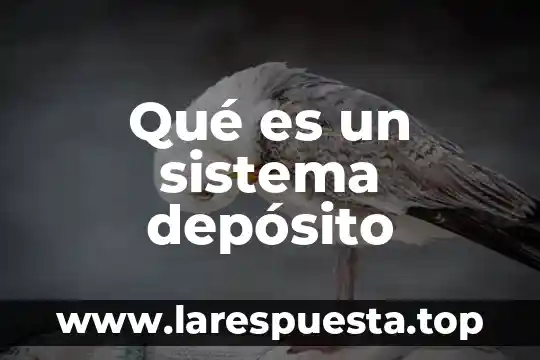 Qué es un sistema depósito
