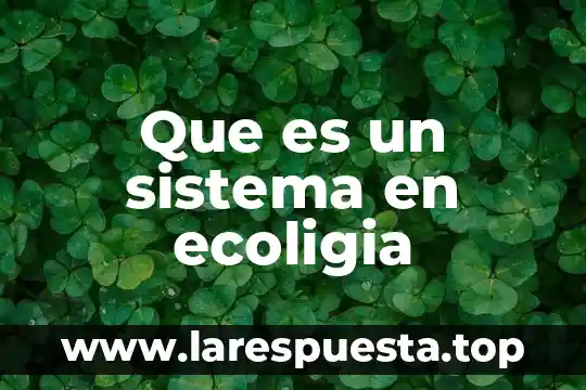 Que es un sistema de 3x3 3 Que es un sistema en ecoligia