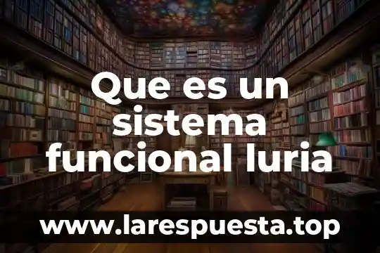 Que es un sistema funcional luria
