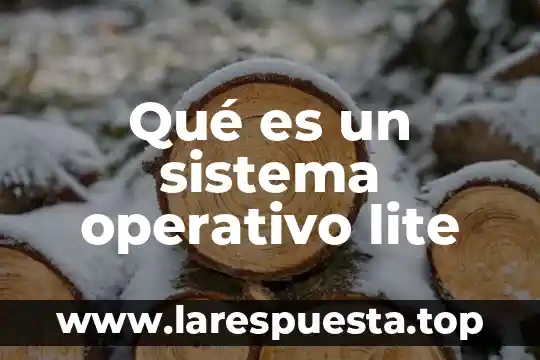 Qué es un sistema operativo lite