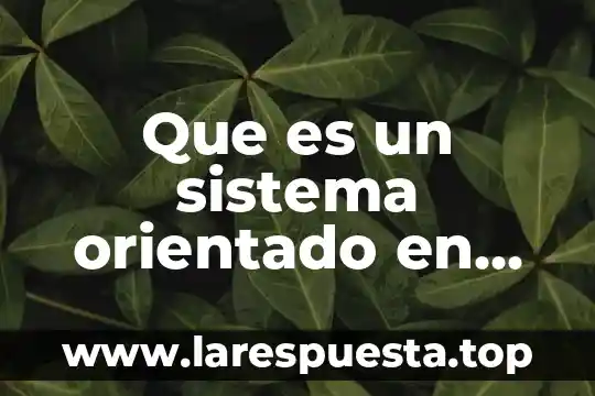 Que es un testigo en derecho 4 Que es un sistema orientado en web