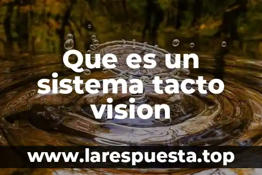 Que es un sistema tacto vision