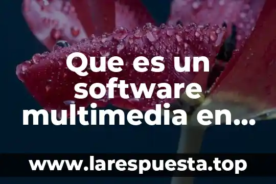 Que es el desarrollo de software multimedia 7 Que es un software multimedia en la educacion
