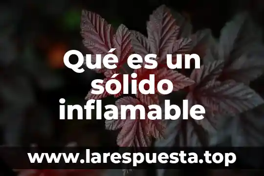 Qué es el petrolato sólido 3 Qué es un sólido inflamable