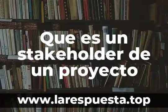 Que es un proyecto didactico de vinculacion 3 Que es un stakeholder de un proyecto
