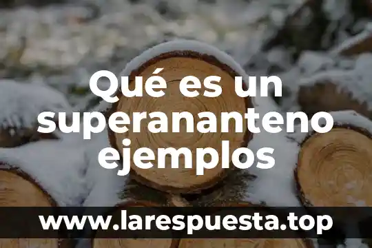 Qué es agronegocios y ejemplos 4 Qué es un superananteno ejemplos