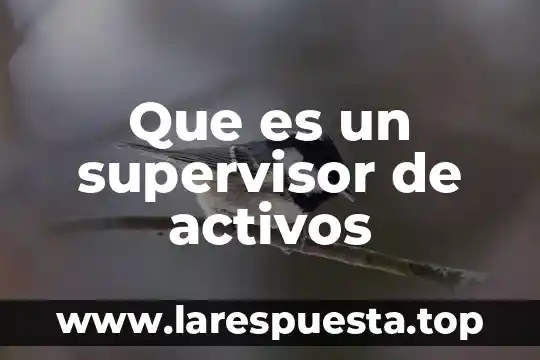 Que es activos prescindibles 7 Que es un supervisor de activos