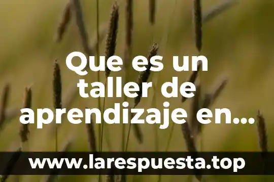 Que es nivel educativo tipo de servicio asignatura o taller 6 Que es un taller de aprendizaje en preescolar