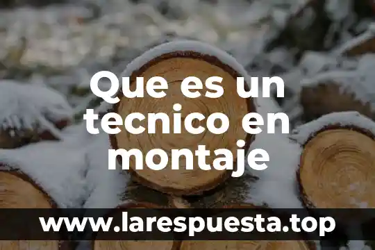 Que es el tipo de montaje ruso 4 Que es un tecnico en montaje