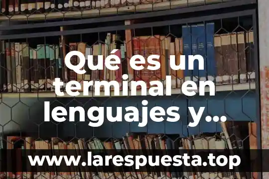 Qué es un terminal en lenguajes y autómatas