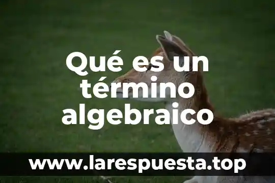 Qué es un término algebraico