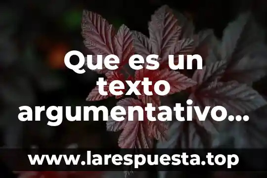 Que es un texto argumentativo de la gastritis