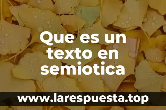 Que es un texto en semiotica