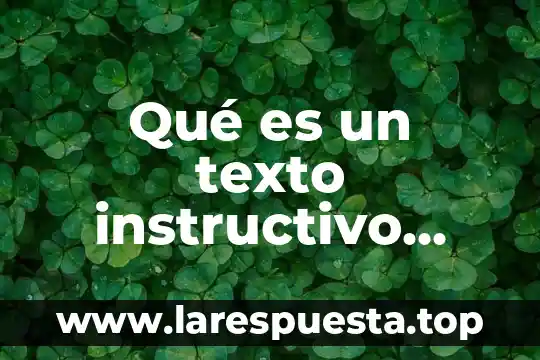 Qué es un texto instructivo resumen