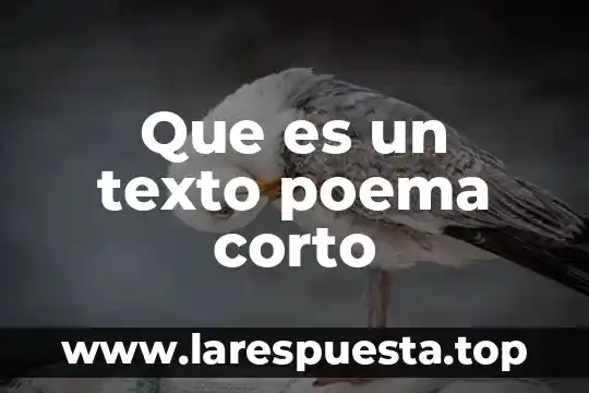 Qué es el nombre corto de una tarjeta de crédito 5 Que es un texto poema corto